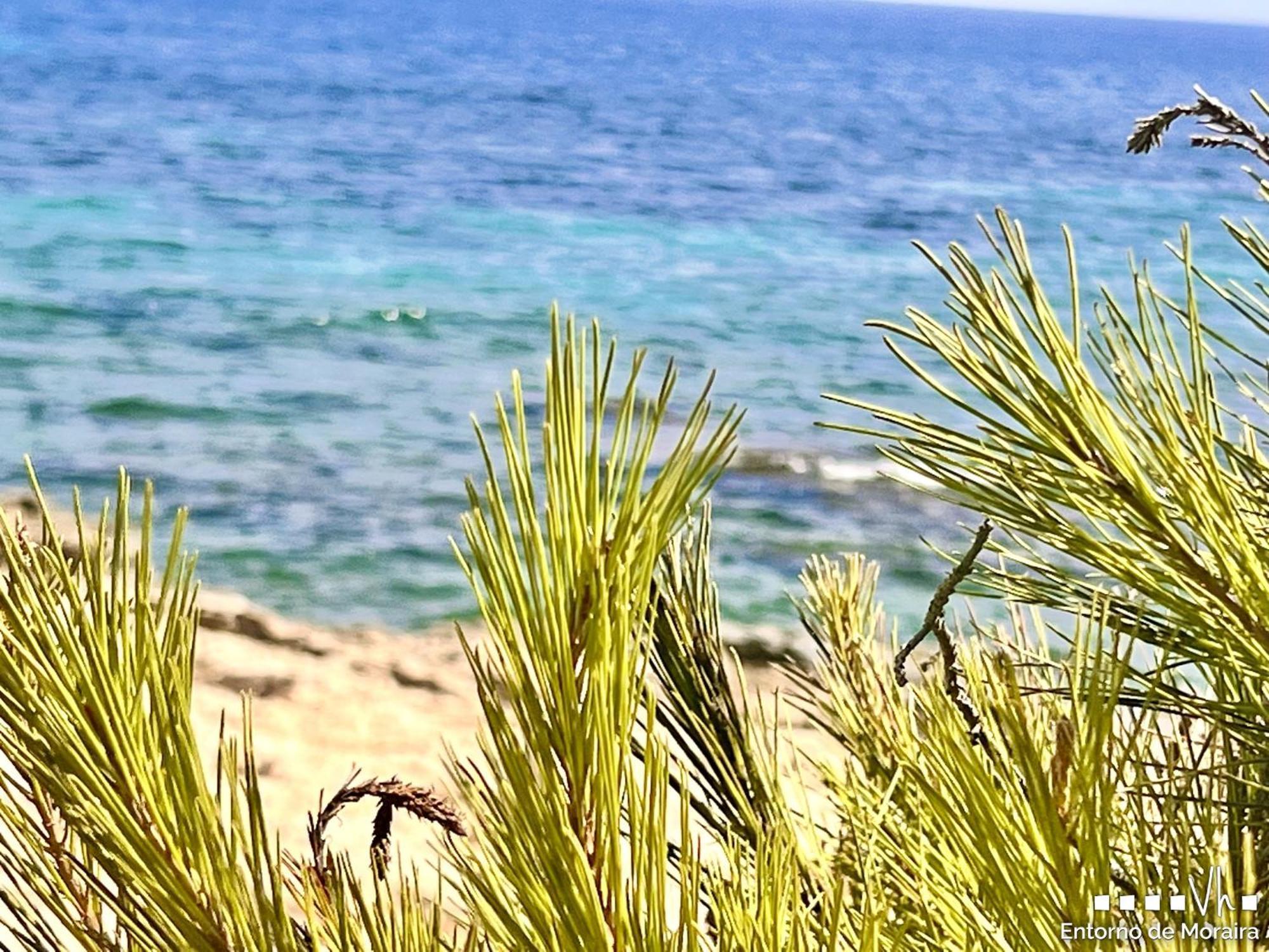 Vh Costablanca - Merlin Benissa Dış mekan fotoğraf